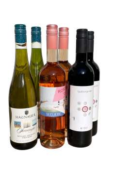 Die Bodenseeregion im Glas