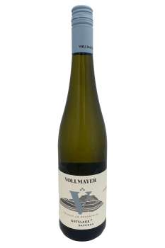 Hohentwieler Elisabethenberg Bacchus 2013er
