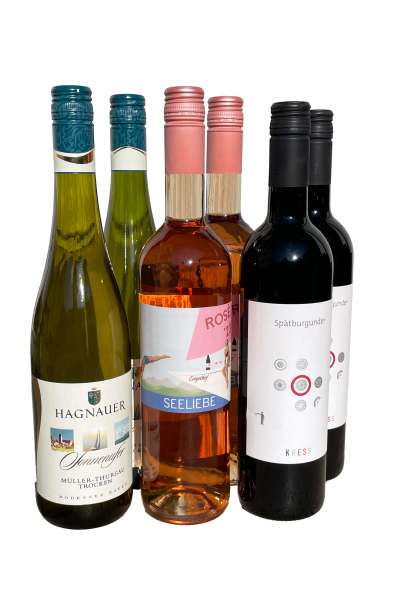 Die Bodenseeregion im Glas